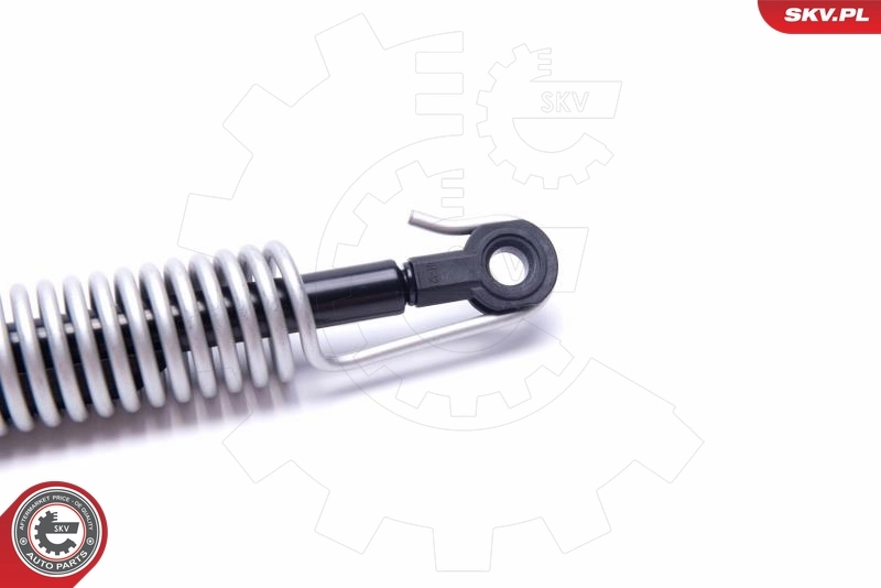 Gas Spring, boot/cargo area